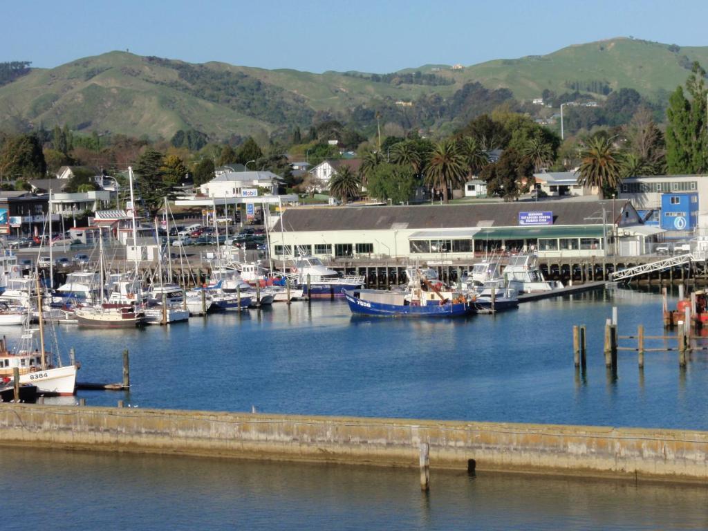 Marina View Apartments Gisborne Room photo